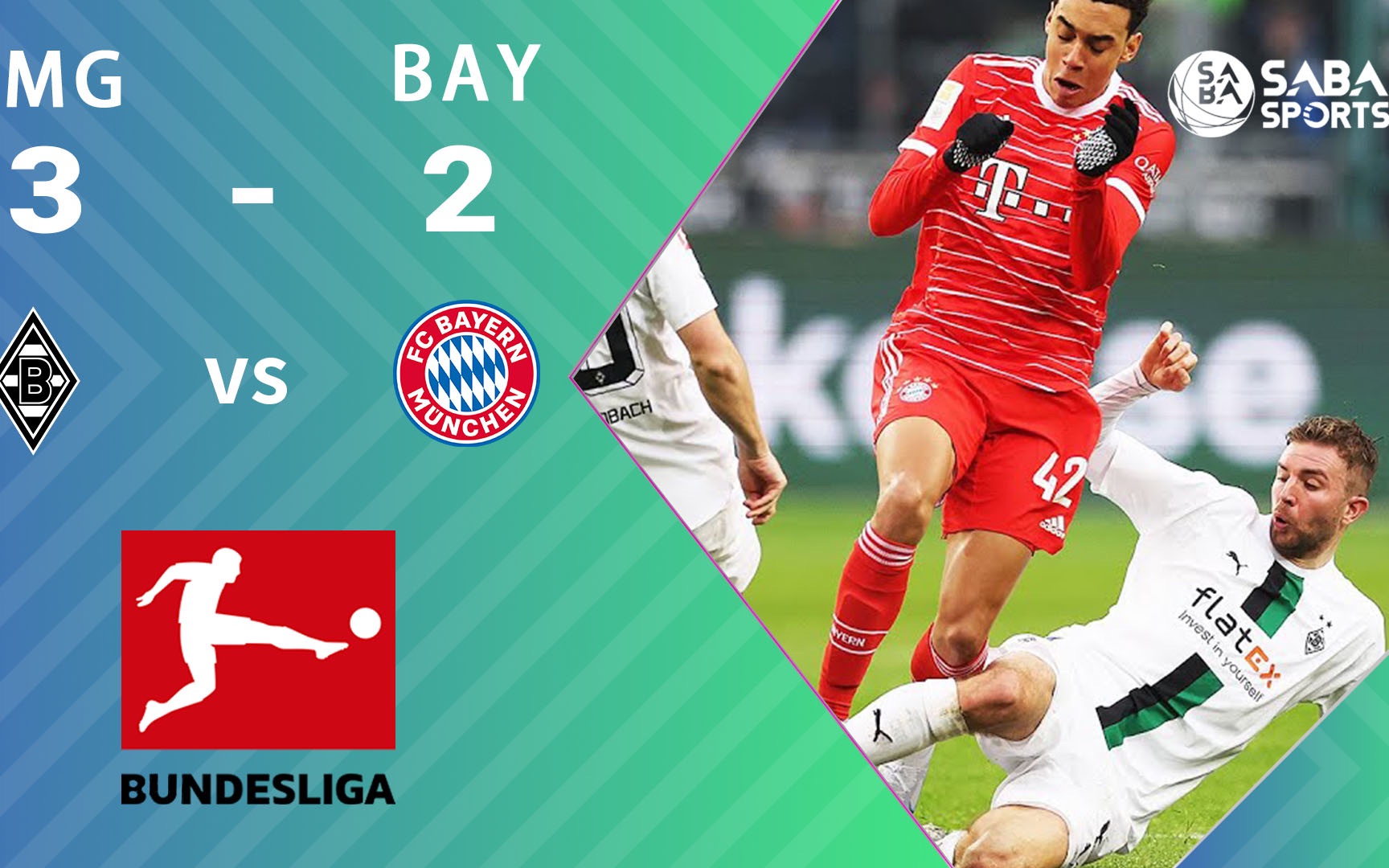 YXZ200型螺旋榨油机