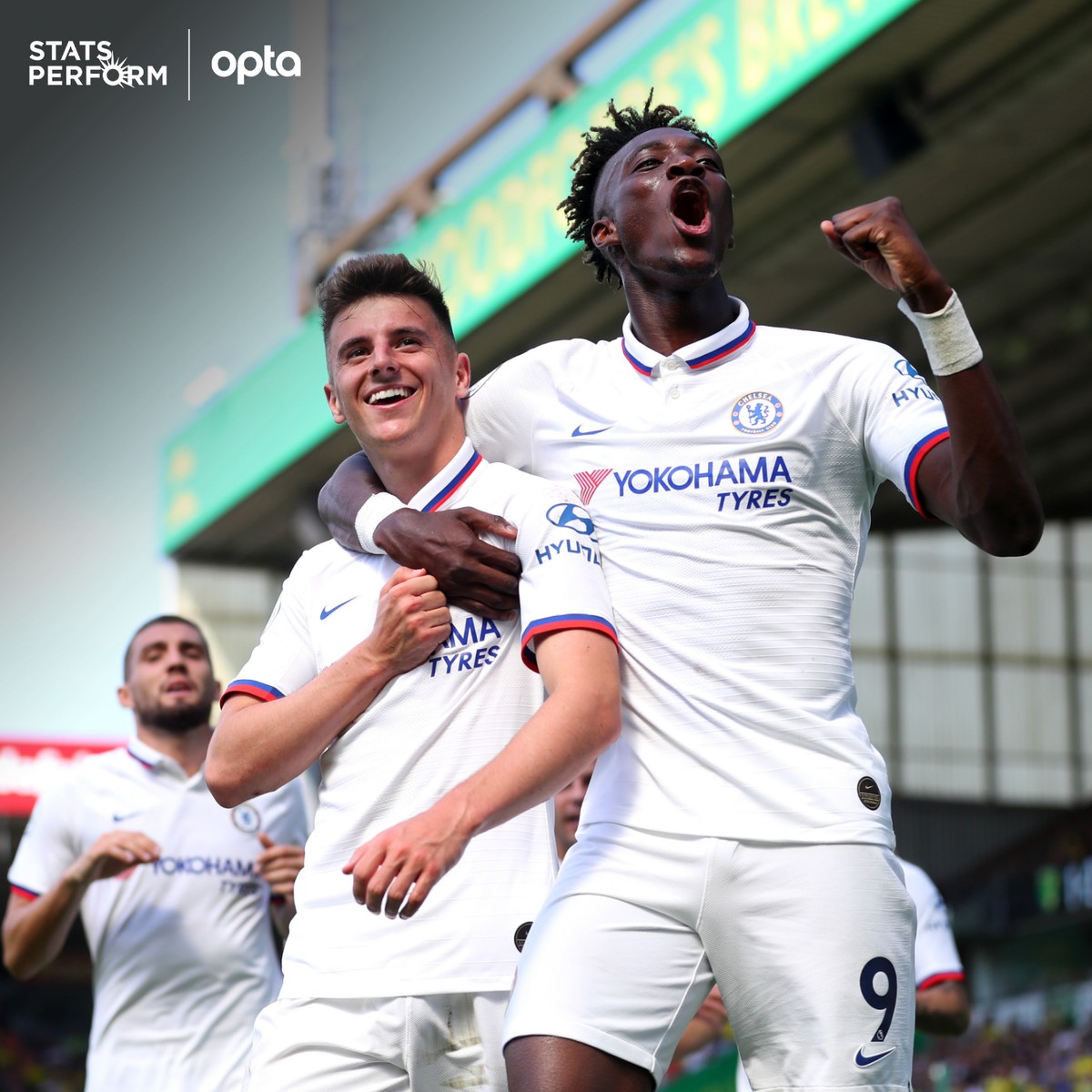 菜籽油热榨和冷榨工艺的区别?