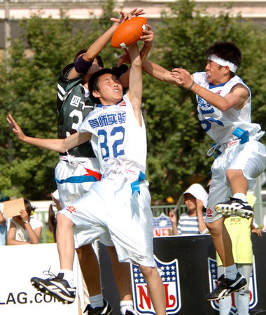 YZY202型螺旋榨油机